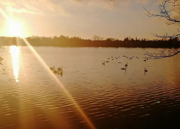 Royaltybed * København