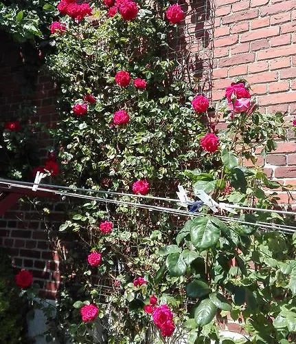 Royaltybed Gæstehus København