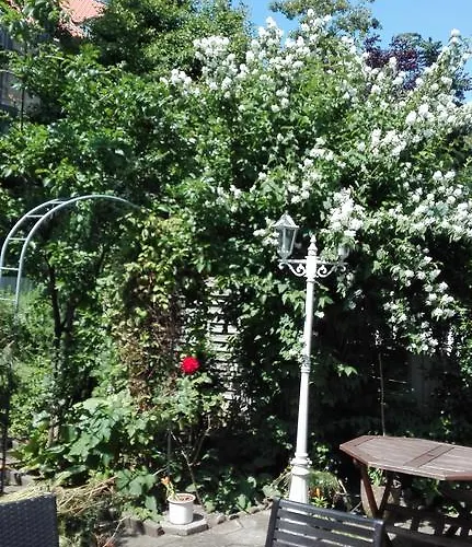 Gæstehus Royaltybed